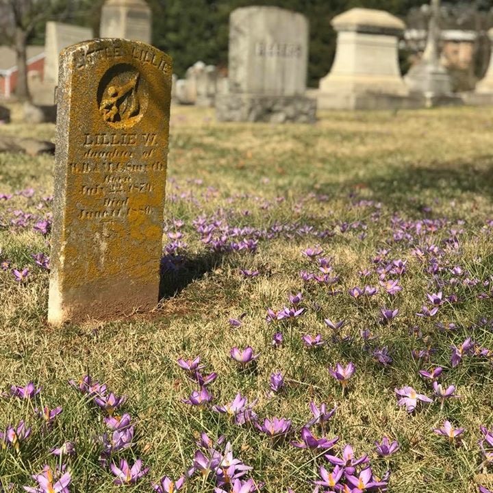 Old Islamic graveyard focusing on the tombstones Stock Photo - Alamy